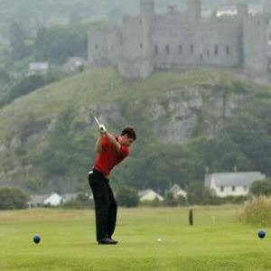 Royal St David's Golf Course