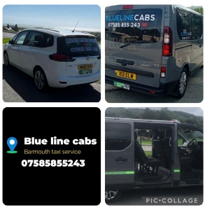 Blue Line Cabs
