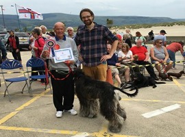 Dog Show